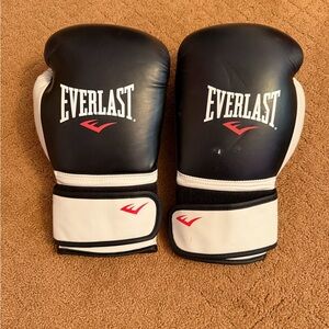 Everlast Black, White & Red Training Boxing Gloves Pro Style 16 oz